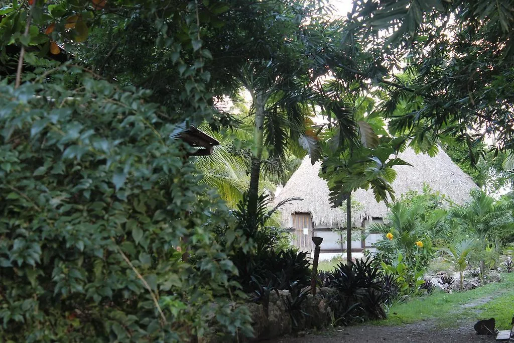 Cabanas Hostal & Camping Magic Bacalar 0*,